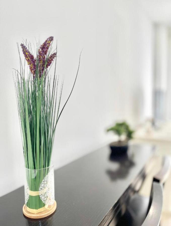 Apartsur 볼무요스 외부 사진